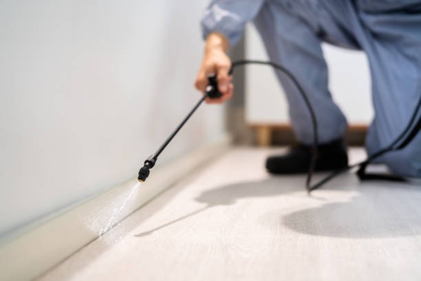 Licensed Fumigation Services service in Vidalia, LA - Nex Pest Control