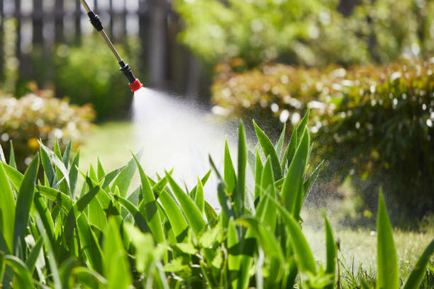 24/7 Emergency Fumigation Services experts in Vidalia, LA