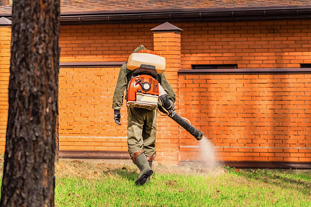 Trusted Bed Bug Control service in Vidalia, LA - Nex Pest Control
